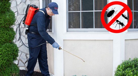 Boyalık Gümüşkurt İlaçlama böcek ilaçlama ve haşere kontrolü — ilaclama-tr.com